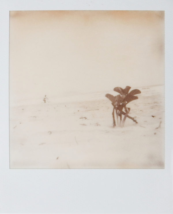 6580 - Dirnei Prates, Vento XI, fotografias instantâneas - filme impossible 600, 10 x 9 cm, ass. dt. 2017