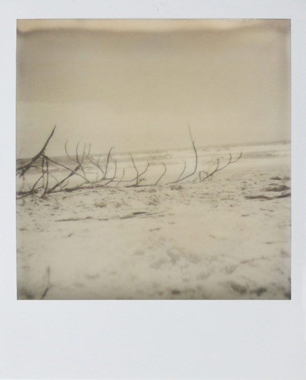 7418 - Dirnei Prates, Vento VII,fotografias instantâneas - filme impossible 600, 10 x 9 cm, ass. dt. 2017