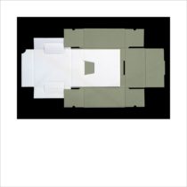 4919 - Jane Cainelli, pigmento mineral sobre papel Somerset Velvet 255g 100% algodão, Ed. 3, 55 x 55 cm, ass. dt.2013