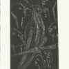 7638 - Maria Tomaselli, gravura em metal, 11 x 6,5 cm, ass. dt. 19