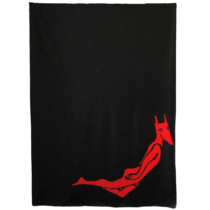 8758 – SANTOCULTO, Santiago