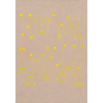 9429 – Håvard Homstvedt: You Will Hardly Know