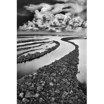 9400 – SALGADO, Sebastião