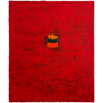 9496 – WLADIMIRSKY, Carlos
